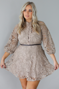 Intricate Details Dress: Taupe